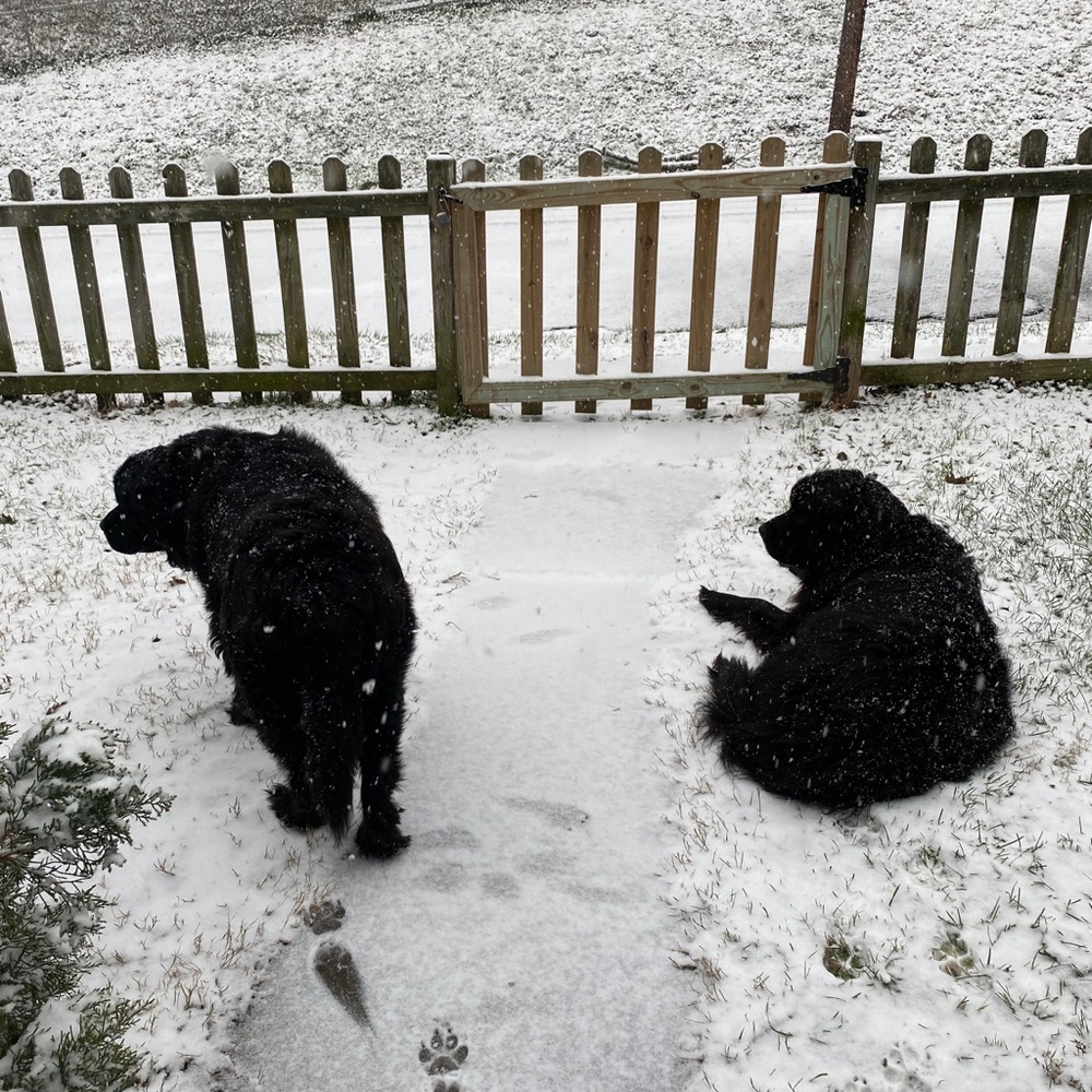 Meet your Posher, Laura